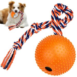 Durable Rope & Ball Dog Toy Set