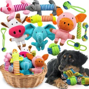 The Ultimate Fun Pack: 14 Squeaky Plush Toys for Small Dogs